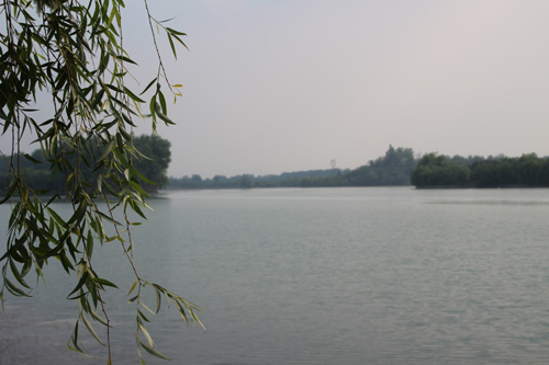旅游策划