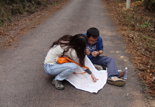 旅游规划