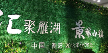 【湖南】“汇聚雁湖 景耀小镇”——艾肯弘扬助力汇景雁湖生态文旅小镇发布会圆满召开
