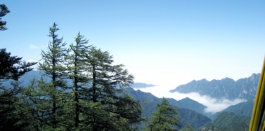 【陕西】太白山国际旅游度假区项目前期汇报圆满结束