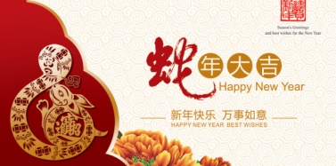【艾肯】艾肯机构2013春节放假通知